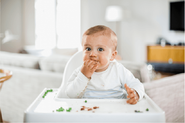 Alimentación Complementaria